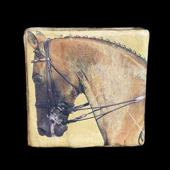 Conquistador Wall Tile