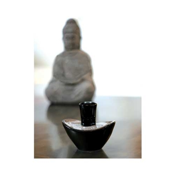 ABOUT LAMPE BERGER