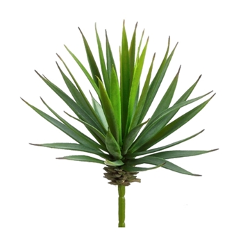 Succulent - Yucca Pick Green 8in - CE1056-GR/BU