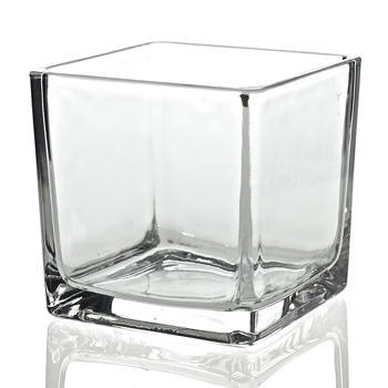 Vase - Glass Cube Clear 4X4in