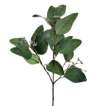 EVS - Eucalyptus - Branch Seeded 24in DK Green - PSE245-GR/GY