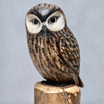 Bird - Owl Saw Whet 11in
