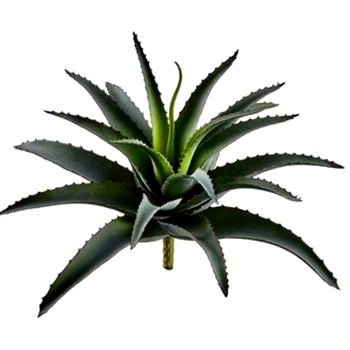 Succulent - Agave Pointy DK Green 10in - CA2044-GR/GY