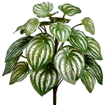 Peppermonia Plant - Variegated Green White 12in - PBW016-GR/SI