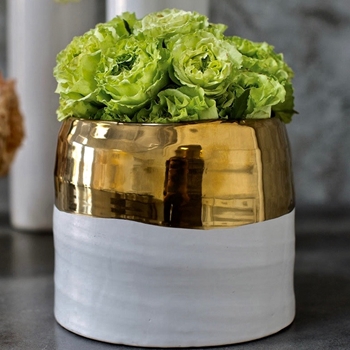 Vase - Claire Pot Gold/White LARGE 7.5W/6H