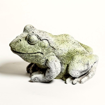 Statuary - Frog 17W/13H/10H White Moss