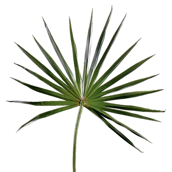 Palm Leaf - Fan - Green 28in - HSP124-GR