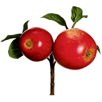 Fruit - Apple Pick X2 8in Red