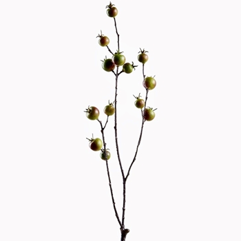 Berry - Rosehip -  Bare Branch 24in Green - FSB302-GR