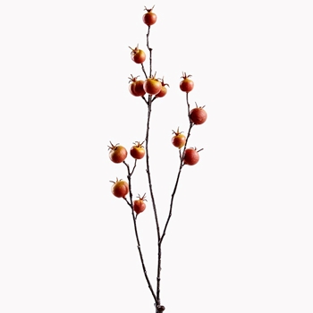Berry - Rosehip -  Bare Branch 24in Saffron - FSB302-OR