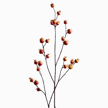 Berry - Rosehip -  Bare Branch 40in Saffron - FSB330-OR