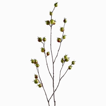 Berry - Rosehip -  Bare Branch 40in Green - FSB330-GR