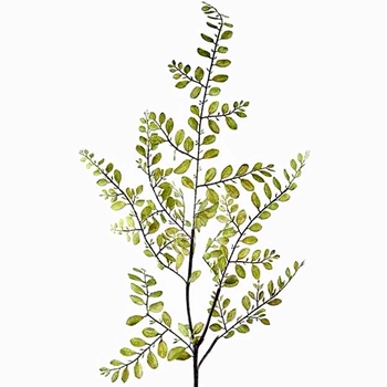 Sophora Japonica - Leaf Spray Green 44in PSS396-GR