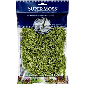 Moss Preserved - Spanish Basil 4OZ 80.75 Cubic Inches