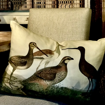 John Derian - Birds of a Feather Parchment Cushion 24W/18H, Luxurious Down Insert