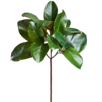 EVS - Magnolia - Leaf Pick 16in PKM016-GR