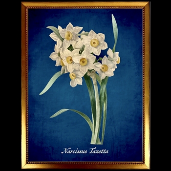 14W/18H Framed Glass Print  C Azure Narcissus - Beaded Vintage Gold