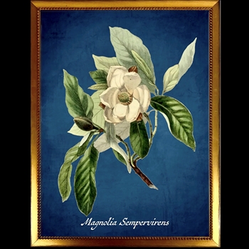14W/18H Framed Glass Print  D  Azure Magnolia - Beaded Vintage Gold