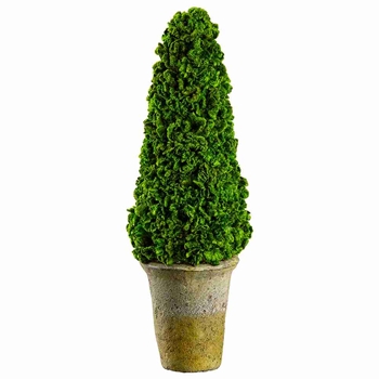 EVT - Celosia - Topiary Cone Preserved 16in- KRC141-GR