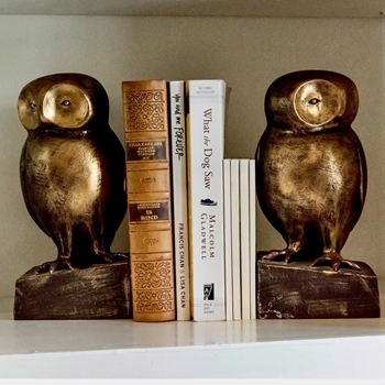 Bookend Pair - Owls - Bronze Resin 9x4x9in