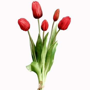 Tulip - Dutch Red Bundle5 16in FBT004-RE - Real Touch