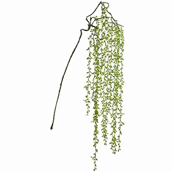 Succulent - Pearl Strings  Green Senecio 80in - CS0011-GR