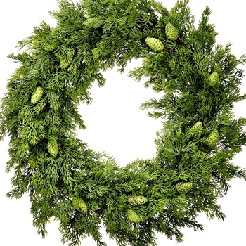EVW - Wreath - Cedar Green Cones Soft  22in Green - YWC109-GR