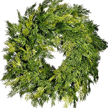 EVW - Wreath - Cedar Green Lush Soft  24in Green - YWC502-GR
