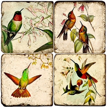 Coaster - Tumbled Marble Set4 - Hummingbirds Vintage
