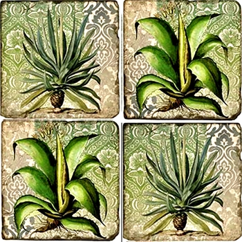 Coaster - Tumbled Marble Set4 - Agave Succulents