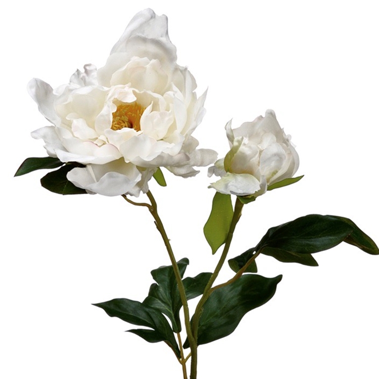 Chintz & Company - Decorative Furnishings - Peony - White 1 Bloom