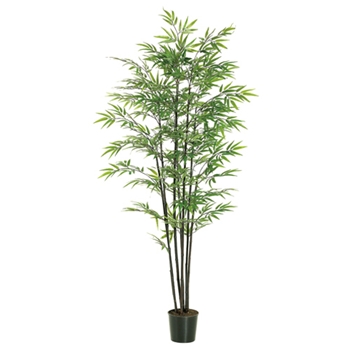 Bamboo Tree - Black 6ft  7 Stalk - LTB066-GR