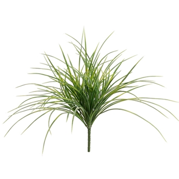 Grass - Carex Plant Weeping Green 20in - PBG625-GR