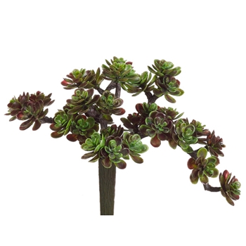 Succulent - Trailing Green Burgundy 5IN - CM4504-GR/BU