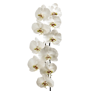 Orchid - Phalaenopsis White Cascade 53in - JTO390-WH/GR