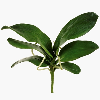 Orchid - Leaf Plant Phalaenopsis 6 Leaves 15in - JYL125-GR