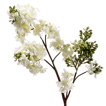 Lilac - White/Green 25in - FSL035-CR