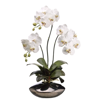 Orchid - Phalaenopsis Potted White in Bronze Bowl 31IN - LFO138-WH/GR