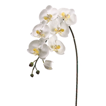 Orchid - Phalaenopsis White Cascade 36in - JYO783-WH/YE