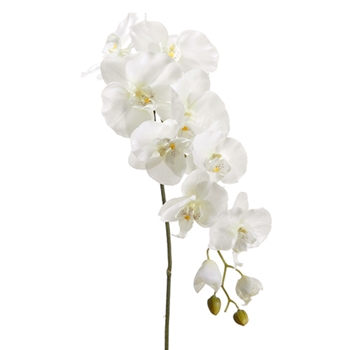 Orchid - Phalaenopsis White Cascade 44in - HSO301-CR/GR