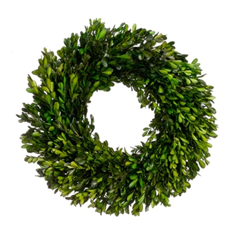 EVW - Boxwood Preserved - Wreath 17in - APS156-GR