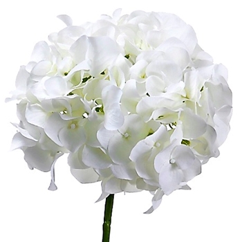 Hydrangea - White 18in - FSH279-CR