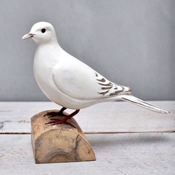 Bird - Dove Standing White 9in