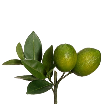 Fruit - Lime Fruit Pick 8in - VKL152-GR