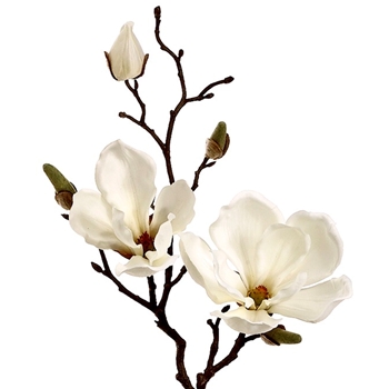 Magnolia - Bloom & Bud Cutting Cream 19in - FSM335-CR 