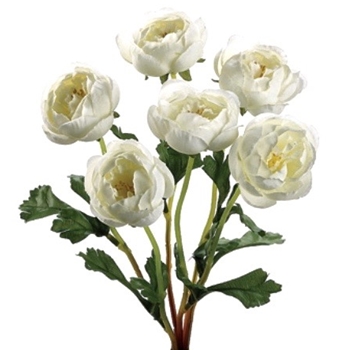 Ranunculus - Bouquet  Cream 12in - FBR963-CR
