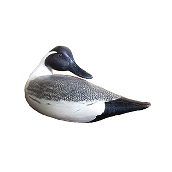Duck Pintail 7in Limited Stock