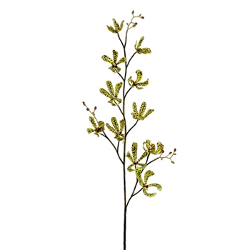 Orchid - Dendrobium Kiwi/Rust 41in - HSO378-GR/BU