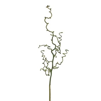 Twig -  Contorted Moss Green 30in - PST190-GR