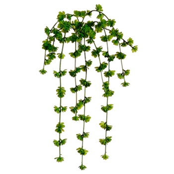 Succulent - Sedum Cascade Green 20IN - CS1320-GR - REAL TOUCH